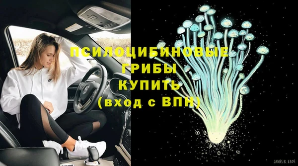 стафф Нея