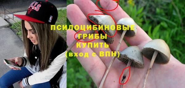 стафф Нея