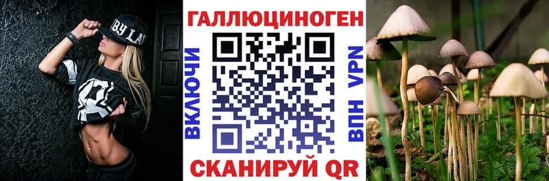 Купить где  Орехово-Зуево  Псилоцибиновые грибы Cubensis 